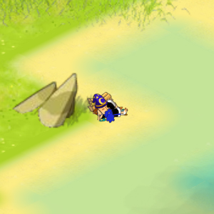 2_-_Gros_plage_cania.jpg