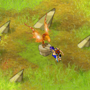 6_-_Gros_phenix.jpg