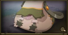 sac.jpg