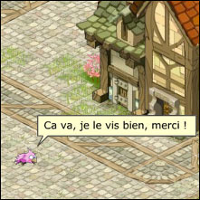 piou.jpg