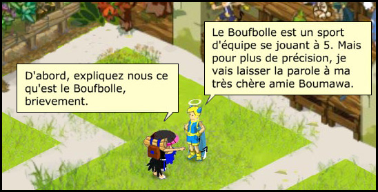 bouf2.jpg