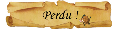 perdu1.jpg