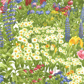 Hill_Country_Spring_White_15975_12.jpg