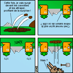 bd303.gif