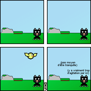 bd307.gif