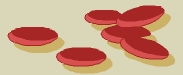 Graines de Pandouille
