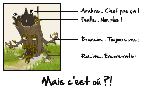 Anatomie-Abrak.png