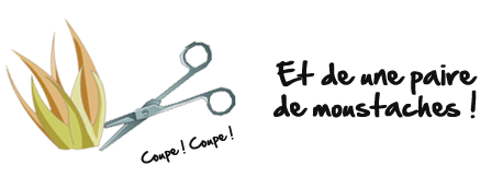 Moustache-Blanche.png
