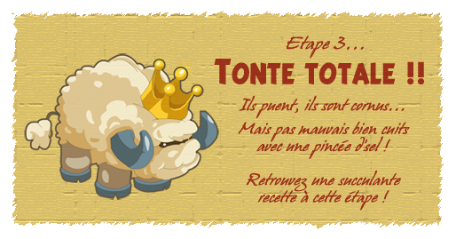 Etape-3.png